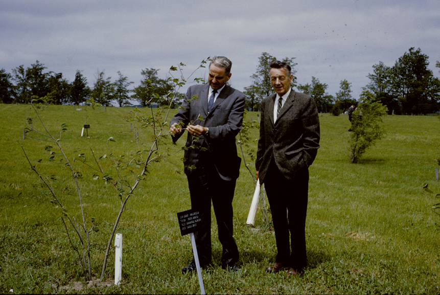 A photograph from the 1964 Arboretum opening ceremony